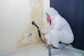 Best Mold Removal for HVAC Installations  in Penn Estates, PA